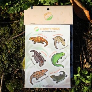 Chonky Friends - New Zealand Geckos 1